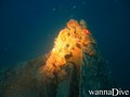 scuba diving photo