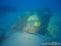 scuba diving photo