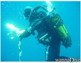 scuba diving photo