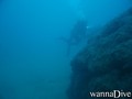 scuba diving photo
