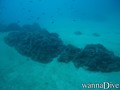 scuba diving photo