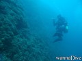 scuba diving photo