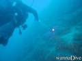 scuba diving photo