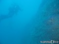scuba diving photo