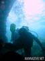 scuba diving photo