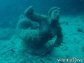 scuba diving photo