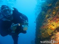 scuba diving photo