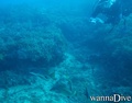 scuba diving photo