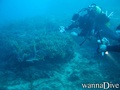 scuba diving photo