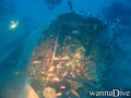 scuba diving photo