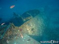 scuba diving photo