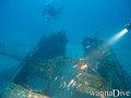 scuba diving photo