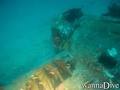 scuba diving photo