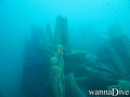 scuba diving photo