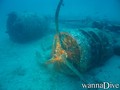 scuba diving photo