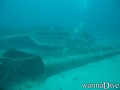 scuba diving photo