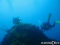 scuba diving photo