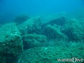 scuba diving photo