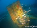 scuba diving photo