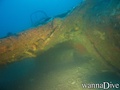 scuba diving photo