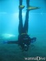 scuba diving photo