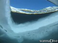 scuba diving photo