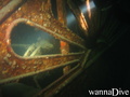 scuba diving photo