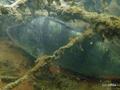 scuba diving photo