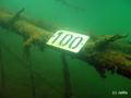 scuba diving photo