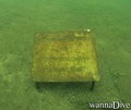 scuba diving photo