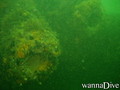 scuba diving photo