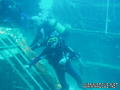 scuba diving photo