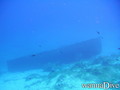 scuba diving photo