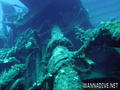 scuba diving photo