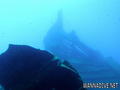 scuba diving photo