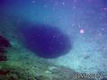 scuba diving photo