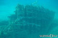 scuba diving photo