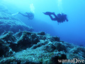 scuba diving photo