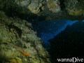 scuba diving photo