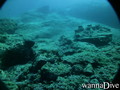 scuba diving photo