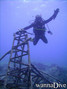 scuba diving photo