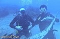 scuba diving photo
