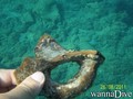 scuba diving photo