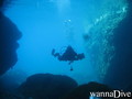 scuba diving photo