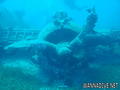 scuba diving photo