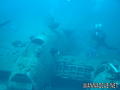scuba diving photo