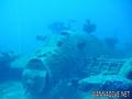scuba diving photo