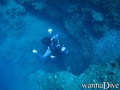 scuba diving photo