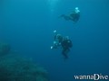 scuba diving photo