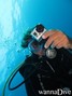 scuba diving photo